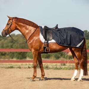 Horseware navy competition sheet